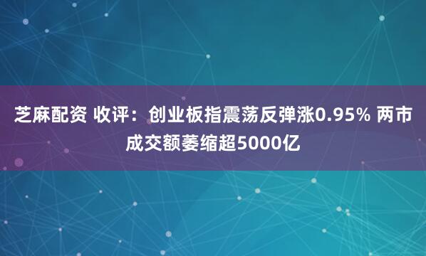 芝麻配资 收评：创业板指震荡反弹涨0.95% 两市成交额萎缩超5000亿