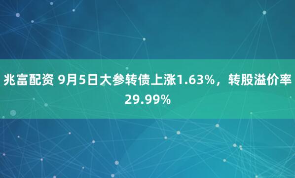 兆富配资 9月5日大参转债上涨1.63%，转股溢价率29.99%