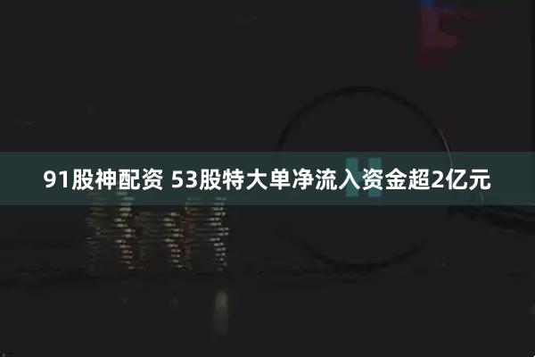 91股神配资 53股特大单净流入资金超2亿元